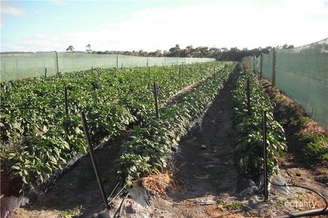 Property photo of 3526 Lower Denmark Road Youngs Siding WA 6330