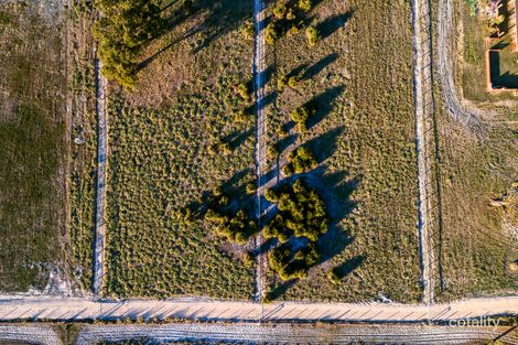 Property photo of 5 Bushel Road Serpentine WA 6125