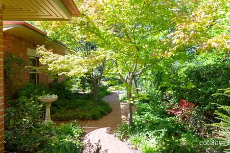 Property photo of 36 Doonkuna Street Braddon ACT 2612