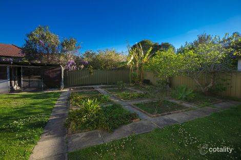 Property photo of 31 Cabbage Tree Lane Fairy Meadow NSW 2519