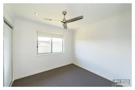 Property photo of 11 Diploma Street Norman Gardens QLD 4701