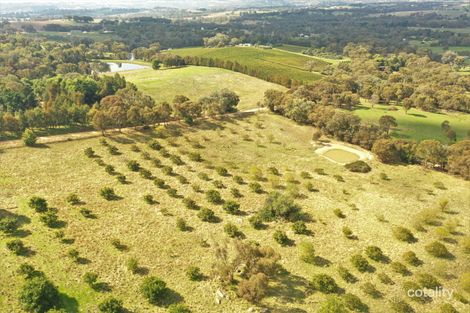Property photo of 121 Ratho Road Young NSW 2594