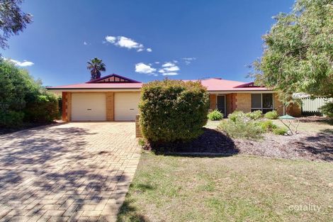 41 The Avenue, Warnbro, WA 6169