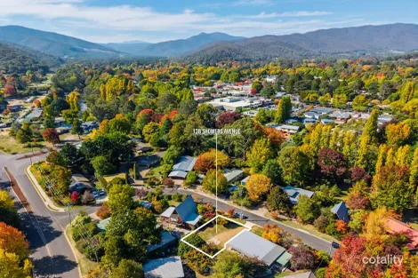 13b Showers Ave, Bright, VIC 3741