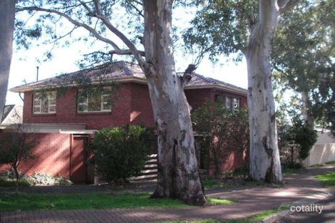 Property photo of 35 Trevorten Avenue Glenunga SA 5064