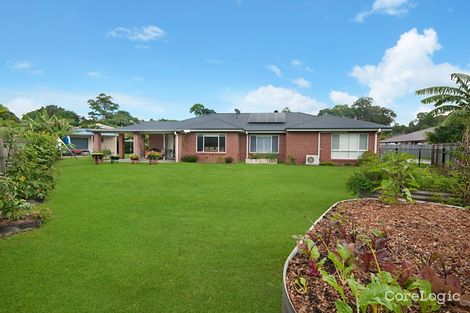 Property photo of 40 Tuckeroo Avenue Mullumbimby NSW 2482