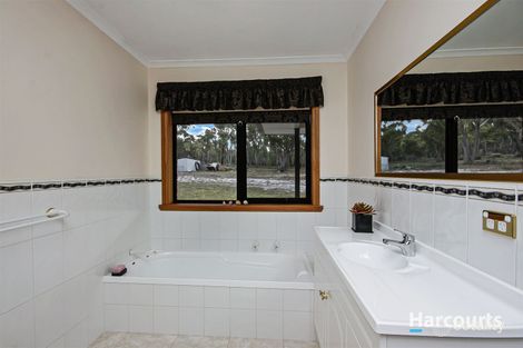 Property photo of 38 Freshwater Street Beaumaris TAS 7215