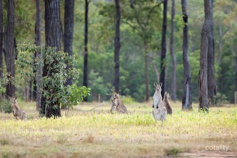 Property photo of 18 Whiteley Court New Beith QLD 4124