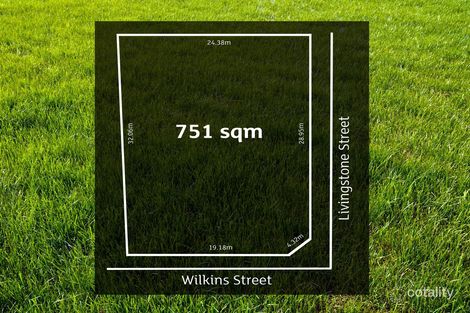 41 Wilkins St, Glengowrie, SA 5044