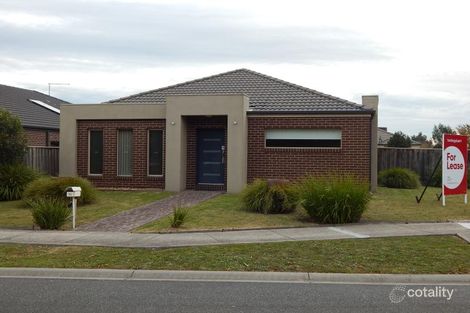 Property photo of 11 Dandelion Drive Berwick VIC 3806