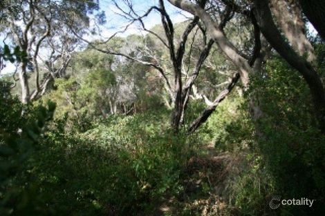 21 Neville Dr, Rye, VIC 3941