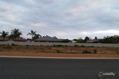 Property photo of 45 Brooke Street Barmera SA 5345