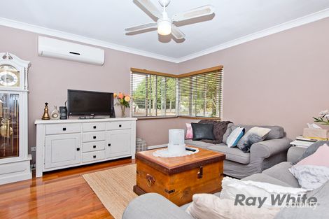 Property photo of 398 Saint Vincents Road Nudgee QLD 4014