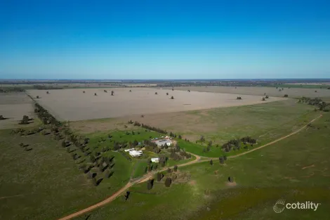 647 Stokes Rd, Collie, NSW 2827