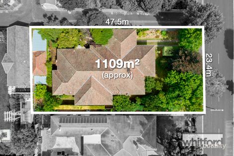 Property photo of 17 Aphrasia Street Newtown VIC 3220