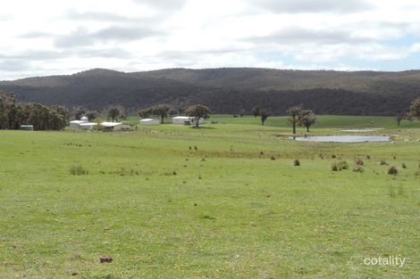 2544 Middle Arm Rd, Middle Arm, NSW 2580