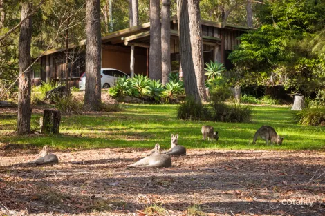 Property photo of 3/111 Widgeram Road Bournda NSW 2548