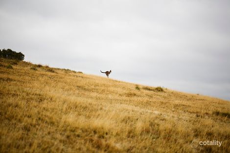 98 Hokins Rd, Ravenswood, VIC 3453