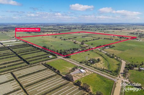 263 Mcphersons Rd, Mundoona, VIC 3635