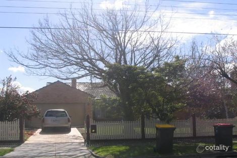 Property photo of 19 Douglas Street Ashwood VIC 3147