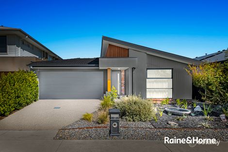 17 Flanagan Cres, Cranbourne South, VIC 3977