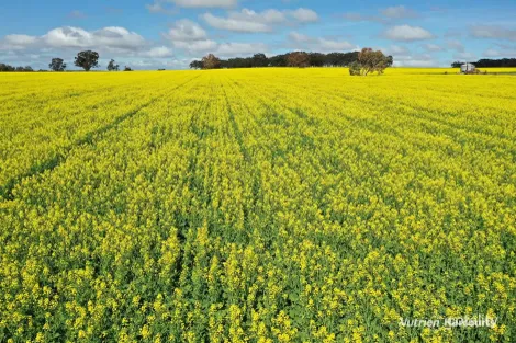 10986 Great Northern Hwy, New Norcia, WA 6509