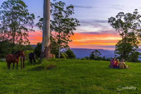 425 Main Western Rd, Tamborine Mountain, QLD 4272