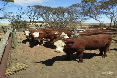 2007 Boundary Rd, Burdett, SA 5253