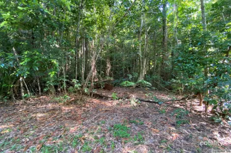 Property photo of LOT 3/3 Sunshine Road East Feluga QLD 4854