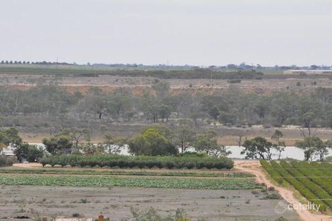 Property photo of 29 Marschall Street Waikerie SA 5330