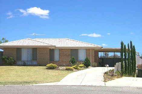 Property photo of 18 Boskoop Place Mirrabooka WA 6061