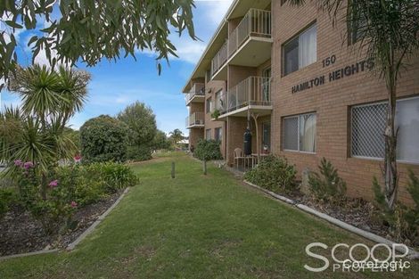 Property photo of 32/150 Healy Road Hamilton Hill WA 6163