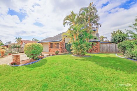 Property photo of 16 Calloway Place Manly West QLD 4179