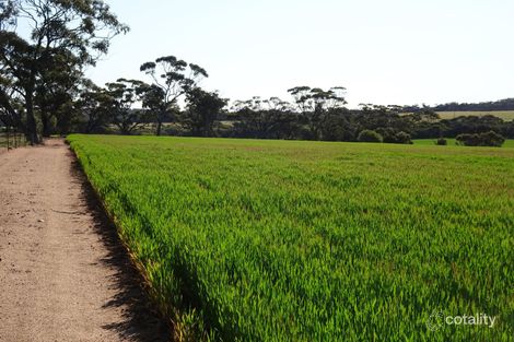 140 Yenellin Rd, Pingelly, WA 6308