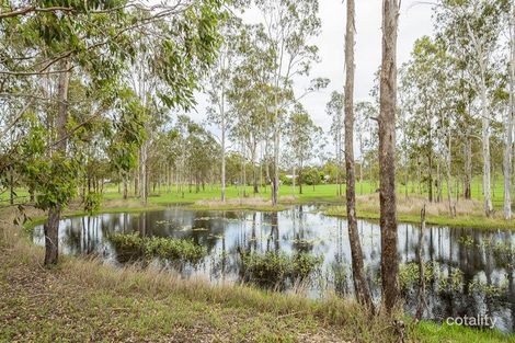 Property photo of 10 Aquarius Avenue River Ranch QLD 4680