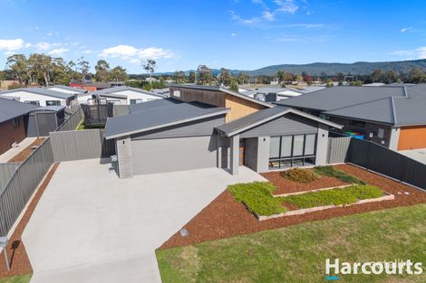 12 Paulownia St, Latrobe, TAS 7307