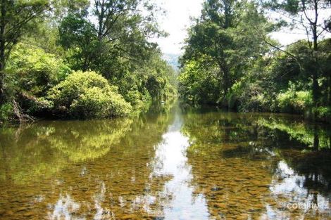 Property photo of 3107 Beechmont Road Witheren QLD 4275