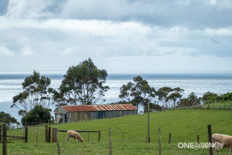 Property photo of 248 Tollymore Road Table Cape TAS 7325