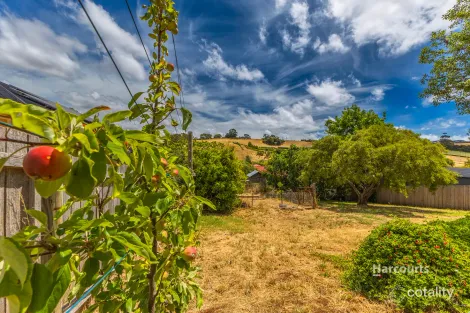 Property photo of 60 Ironcliffe Road Penguin TAS 7316