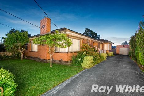 7 Gerbera Ct, Blackburn North, VIC 3130