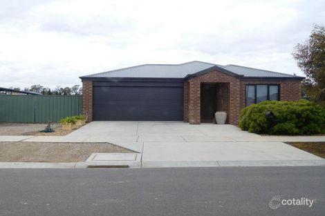 20 Triplett Ave, Ascot, VIC 3551