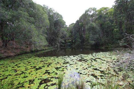 Property photo of 160 Honeytree Lane Ridgewood QLD 4563