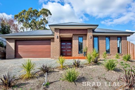71 Yellow Gum Bvd, Sunbury, VIC 3429