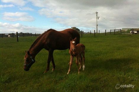 215 Sungarrin Rd, Hilldene, VIC 3660