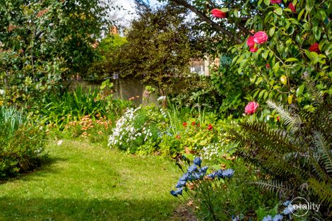 Property photo of 52 Amy Road Newstead TAS 7250