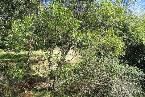 Property photo of 16 Copacabana Drive Copacabana NSW 2251
