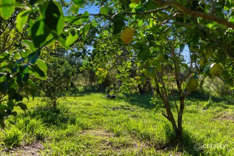 Property photo of 185 Dr Pages Road Cootharaba QLD 4565