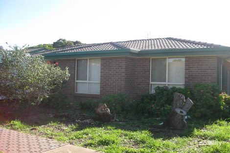 Property photo of 35B Jersey Avenue Brahma Lodge SA 5109
