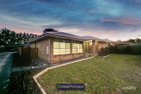 Property photo of 6 Cherry Street Pearcedale VIC 3912