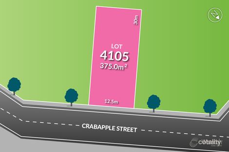 Property photo of 4 Crabapple Street Melonba NSW 2765